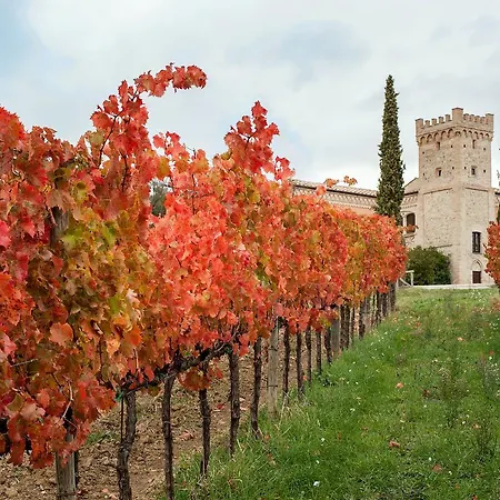 Podere Fonte Sala 103s Holiday home
