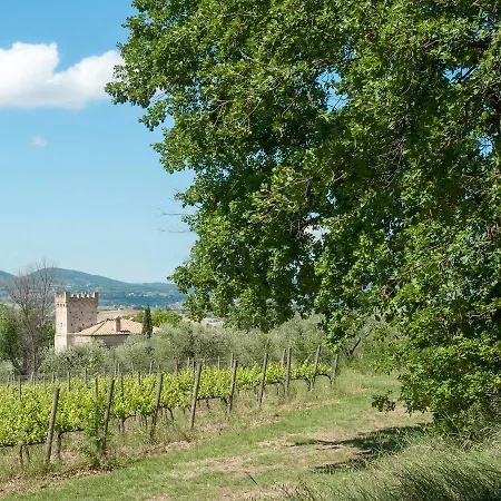Podere Fonte Sala 103s * Casale (Umbria)