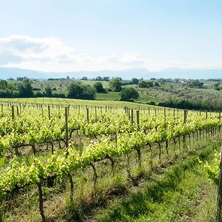 Holiday home Podere Fonte Sala 103s