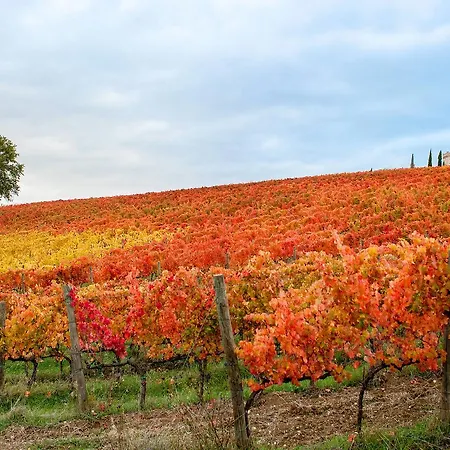 Holiday home Podere Fonte Sala 103s Casale (Umbria)